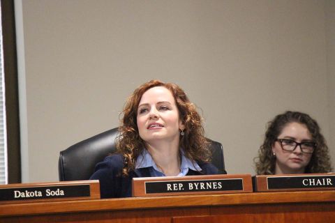 House Ethics and Oversight Chair Rep. Erin Byrnes, D-Dearborn, sitting down